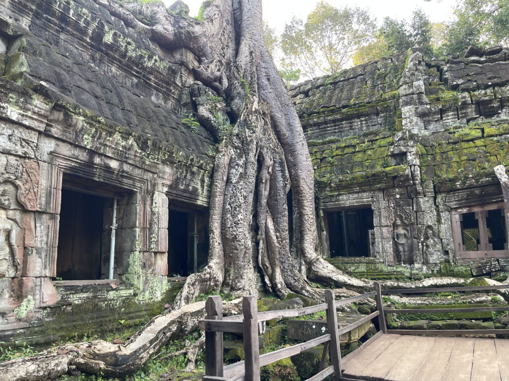 Ta Prohm05.2_1603