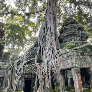 One Day To Angkor Wat Bayon Ta Prohm From Phnom Penh