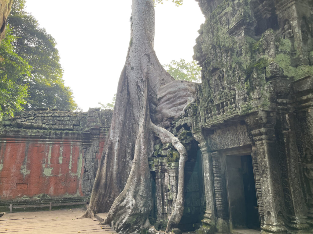 Ta Prohm05.6_1594