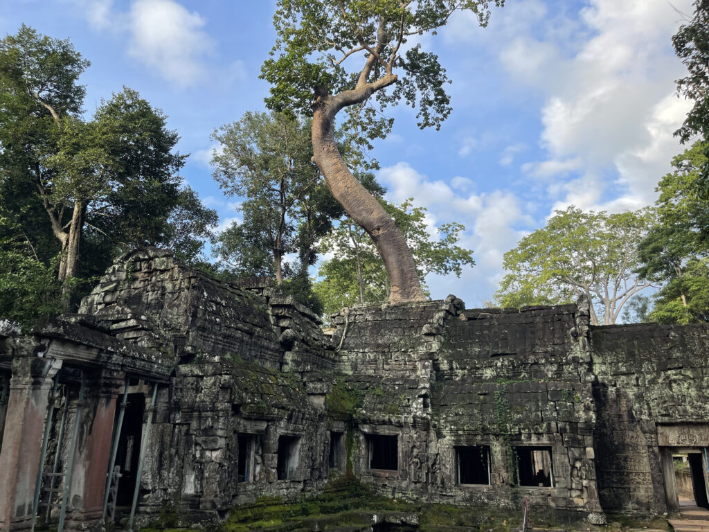 Ta Prohm05.7_1591